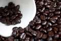 dark coffee beans in cup