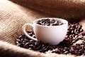 cup of roasted coffee beans