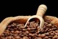scoop of coffee beans in a bag