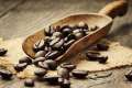 scoop of coffee beans