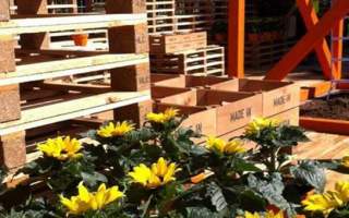 a flower show garden with yellow flowers and an ethiopian coffee theme