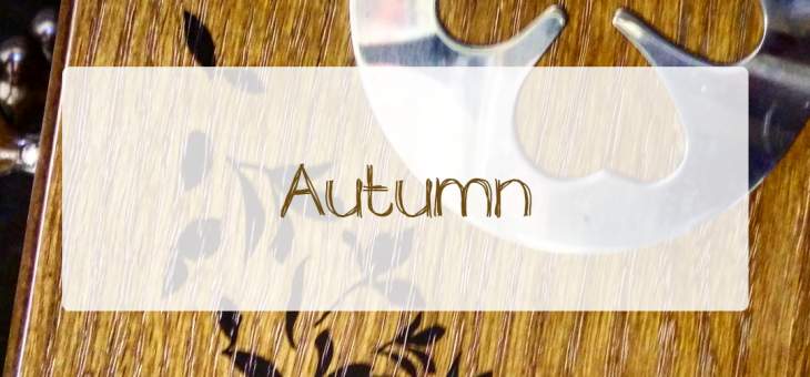 Autumn-Brown Wooden-Box-Leave-Engraving-Autumn-Leaf-Stencil-Coffee-Duster-Silver-Frame-Handles-Box-Pollards