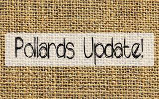 Pollards-Update-Blog-Feature-Image Pollards-Update-Blog-Feature-Image