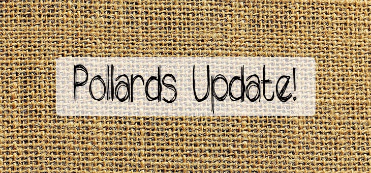 Pollards-Update-Blog-Feature-Image Pollards-Update-Blog-Feature-Image